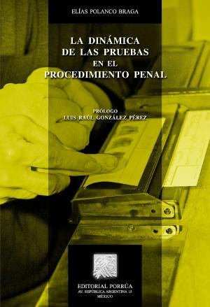 Cover of the book La dinámica de las pruebas en el procedimiento penal by Fernando Silva García (Coordinador)