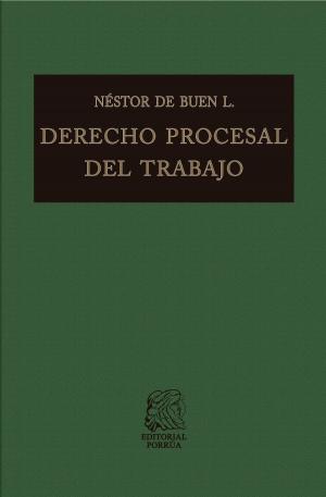 Cover of the book Derecho procesal del trabajo by Homero
