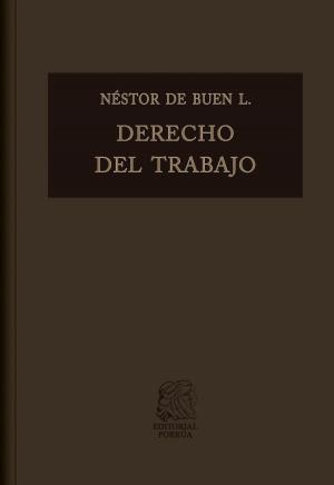 Cover of the book Derecho del trabajo Vol. II by Arturo Zavala Zavala