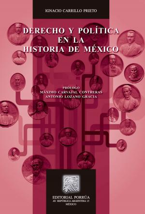 Cover of the book Derecho y Política en la Historia de México by José Francisco Castellanos Madrazo