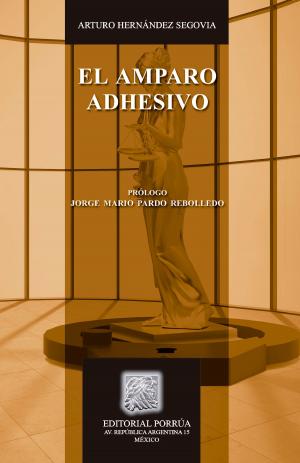Cover of the book El amparo adhesivo by Raúl Chávez Castillo