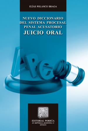 Cover of the book Nuevo diccionario del sistema procesal penal acusatorio: Juicio oral by Ana María Menéndez Marcín