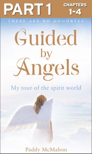 bigCover of the book Guided By Angels: Part 1 of 3: There Are No Goodbyes, My Tour of the Spirit World by 