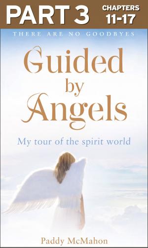bigCover of the book Guided By Angels: Part 3 of 3: There Are No Goodbyes, My Tour of the Spirit World by 