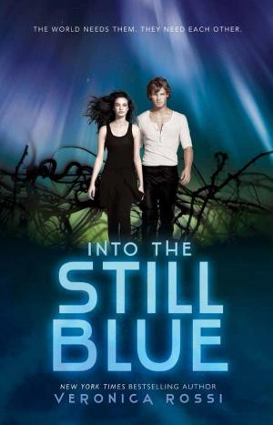 Cover of the book Into the Still Blue by Sarah White