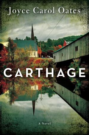 Cover of the book Carthage by Lexi Freiman