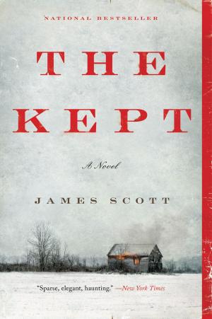 Book cover of The Kept