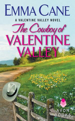 Cover of the book The Cowboy of Valentine Valley by Mary T Browne