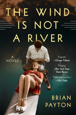 Book cover of The Wind Is Not a River