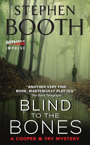 Cover of the book Blind to the Bones by Penny Tawret