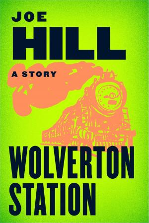 Cover of the book Wolverton Station by Molly McAdams
