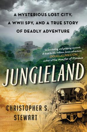 Cover of the book Jungleland by David Skinner