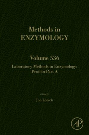Cover of the book Laboratory Methods in Enzymology: Protein Part A by Henning Harmuth, Beate Meffert, Peter W. Hawkes
