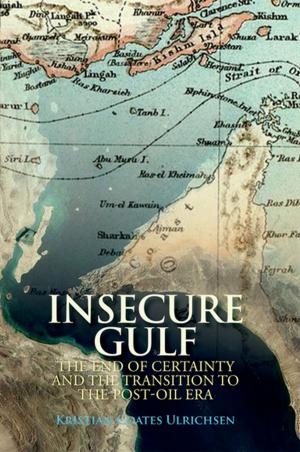 Cover of the book Insecure Gulf by William V. Rapp