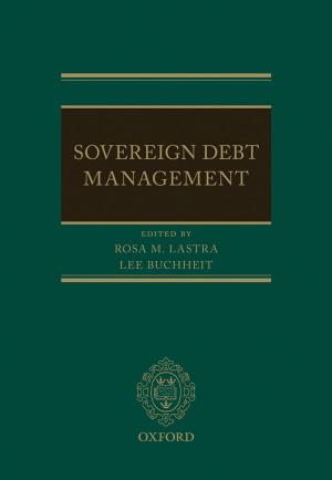 bigCover of the book Sovereign Debt Management by 