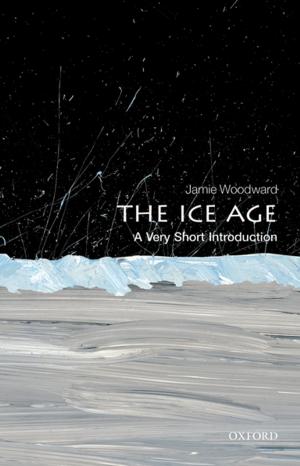 Cover of the book The Ice Age: A Very Short Introduction by David Rodin ; Henry Shue