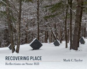 Cover of the book Recovering Place by Owen Hulatt