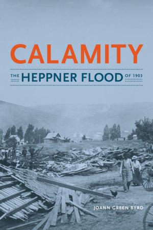Cover of the book Calamity by Jakobina K. Arch