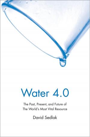 Cover of the book Water 4.0 by Steven Lubet