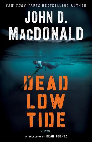 Book cover of Dead Low Tide