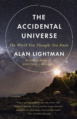 Cover of the book The Accidental Universe by Jonathan Lethem