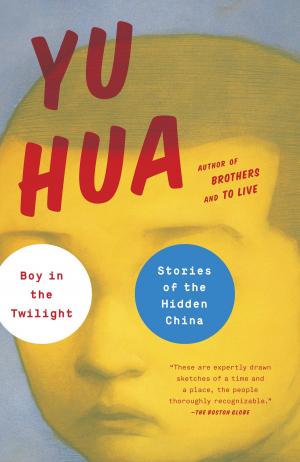 Book cover of Boy in the Twilight