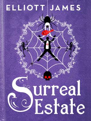 Book cover of Surreal Estate