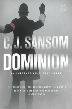 Cover of the book Dominion by Anita Shreve