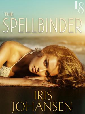 Cover of the book The Spellbinder by Ashlyn Macnamara