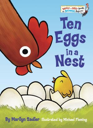 Book cover of Ten Eggs in a Nest