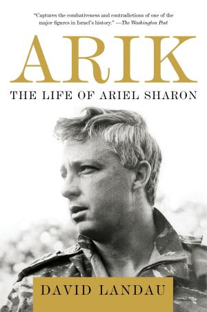 bigCover of the book Arik by 