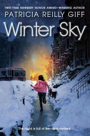 Cover of the book Winter Sky by Joan Lowery Nixon