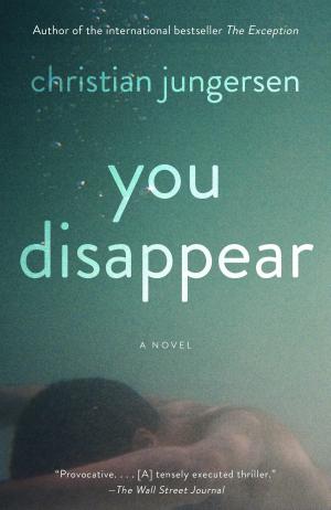 Cover of the book You Disappear by Ha Jin