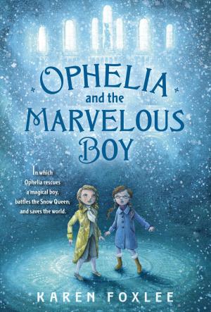 Cover of the book Ophelia and the Marvelous Boy by Dana Reinhardt