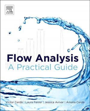 Cover of the book Flow Analysis by Raouf A Khalil