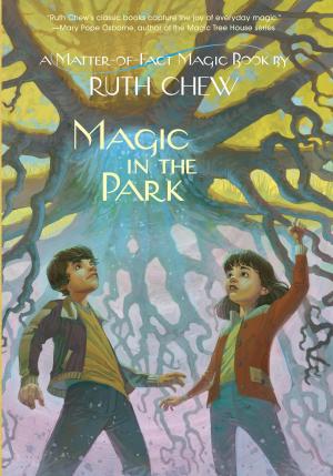 Cover of the book A Matter-of-Fact Magic Book: Magic in the Park by Carol Hughes