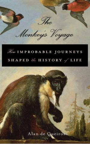 Cover of the book The Monkey's Voyage by Hugh Kennedy