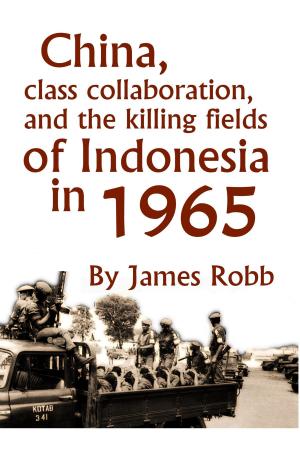Cover of China, Class Collaboration, and the Killing Fields of Indonesia in 1965