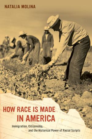 Cover of the book How Race Is Made in America by Saida Hodzic
