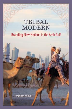 Book cover of Tribal Modern