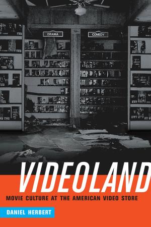 Cover of the book Videoland by Natasha Kumar Warikoo