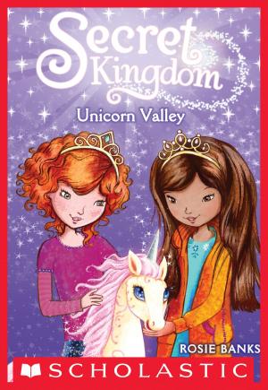Cover of the book Secret Kingdom #2: Unicorn Valley by Ann M. Martin
