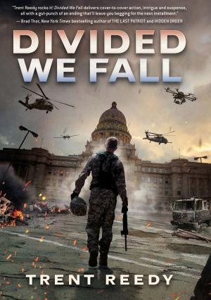 Cover of the book Divided We Fall (Divided We Fall, Book 1) by Ann M. Martin