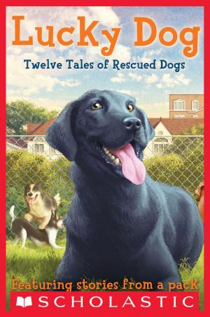 Cover of the book Lucky Dog by Laura Atkins, An Phan
