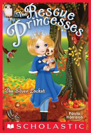 Cover of the book Rescue Princesses #9: The Silver Locket by Raina Telgemeier