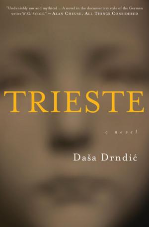 Cover of the book Trieste by Andrew Martin