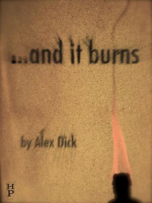 Cover of ...and it burns by Alex Dick, Headstock Publishing