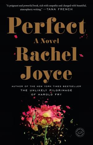 Cover of the book Perfect by Allison Brennan