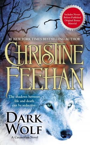 Cover of the book Dark Wolf by Jon Sharpe