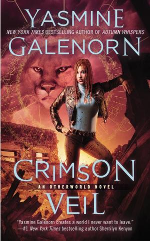 Cover of the book Crimson Veil by Kaye Morgan